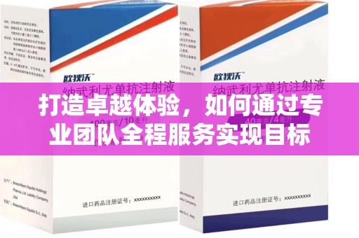 漳州打造卓越体验，如何通过专业团队全程服务实现目标