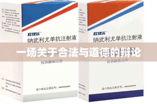 漳州一场关于合法与道德的辩论