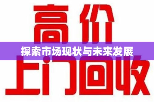 漳州探索市场现状与未来发展