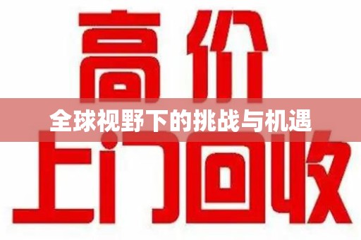 漳州全球视野下的挑战与机遇