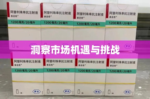 漳州洞察市场机遇与挑战