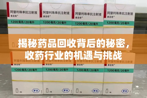 漳州揭秘药品回收背后的秘密，收药行业的机遇与挑战