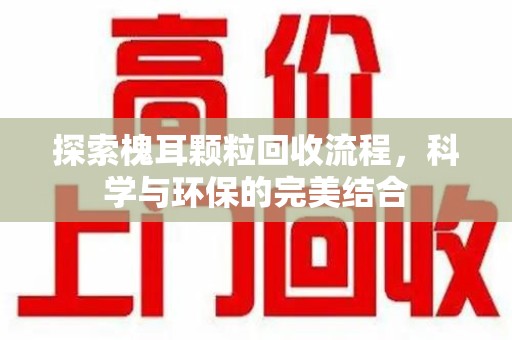 漳州探索槐耳颗粒回收流程，科学与环保的完美结合