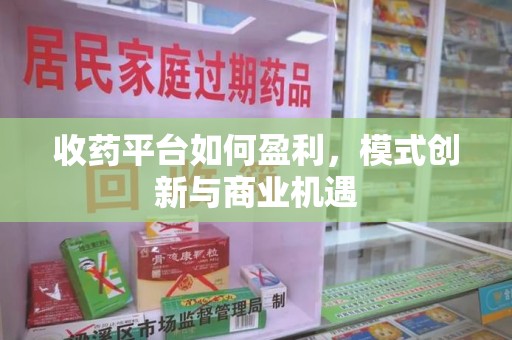 漳州收药平台如何盈利，模式创新与商业机遇