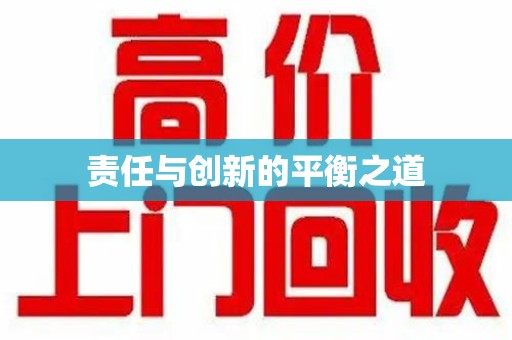 漳州责任与创新的平衡之道